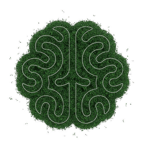 Braintest.ir - آزمون روانشناسی